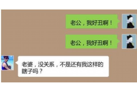 雏鹰能换催收吗？揭秘催收行业的变革与未来