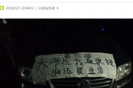 阳光财产保险催收：高效解决方案助力企业风险管理