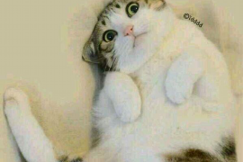 讨债路上遇到不讲理的人：如何应对与解决