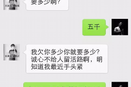 荒野大镖客2讨债阿尔吉：揭秘游戏中的讨债风云