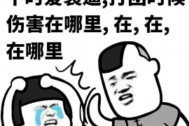 去做催收还是进厂好? 去做催收还是进厂好?