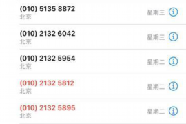 巴林左旗清数公司排名前十名：揭秘区域大数据处理领域的佼佼者