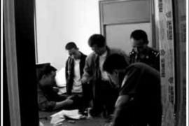 我家的猫是讨债的:揭秘猫咪的神秘行为 我家的猫是讨债的:揭秘猫咪的神秘行为